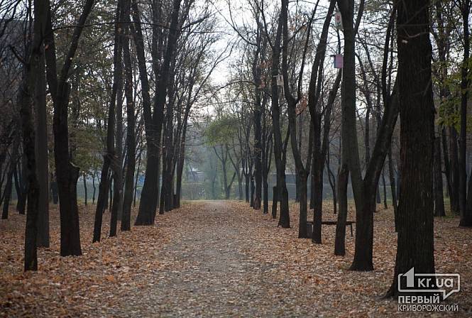 Загрузка фото