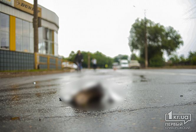 Загрузка фото