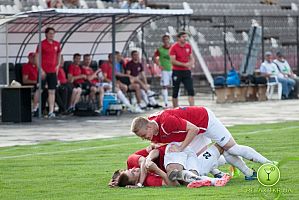 Горняк - Буковина