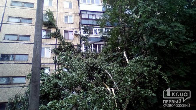 Большое фото