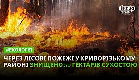 Через масові пожежі у Криворізькому районі знищено 30 га сухостою | 1kr.ua
