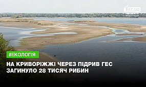 На Криворіжжі стався масовий мор риби через підрив ГЕС | 1kr.ua