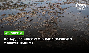 Понад 850 кілограмів риби загинуло у Мар’янському | 1kr.ua
