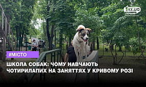 У Кривому Розі виховують та дресирують собак у кінологічній школі | 1kr.ua