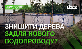 У Миколаєві планують знищити сотні здорових дерев задля реконструкції водопроводу | 1kr.ua