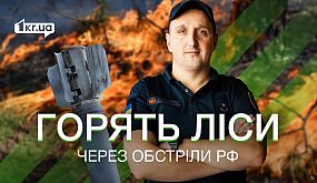 На Миколаївщині через обстріли РФ горять ліси | 1kr.ua
