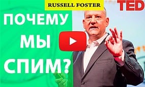 Ted на русском. Почему мы спим? Russell Foster I TED