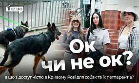 Чи справді Кривий Ріг зручний для людей із домашніми улюбленцями? | 1kr.ua