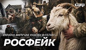 Работающие советы для путешествий / Как собрать чемодан и путешествовать налегке [Идеи для жизни]