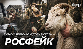 “ЦЕ НЕ ЛЮДИ”. ШІ-відео росіян масово обманюють українців у TikTok | 1kr.ua