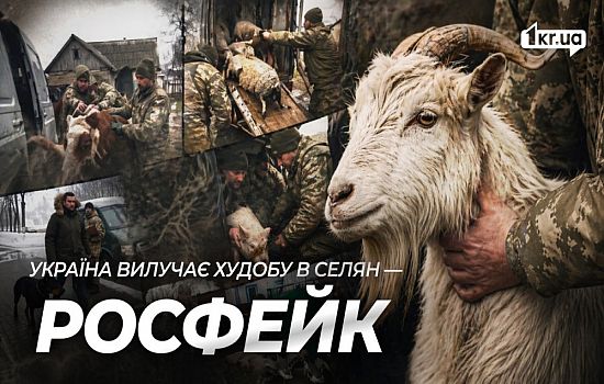 “ЦЕ НЕ ЛЮДИ”. ШІ-відео росіян масово обманюють українців у TikTok | 1kr.ua