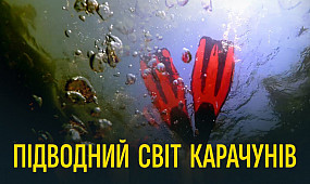 Підводний світ Карачунів