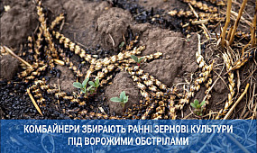 Комбайнери збирають ранні зернові культури під ворожими обстрілами | 1kr.ua