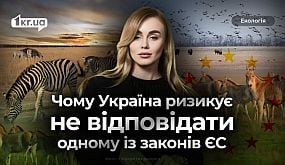 День жалоби у Кривому Розі: панахида за загиблими та історії очевидців | 1kr.ua