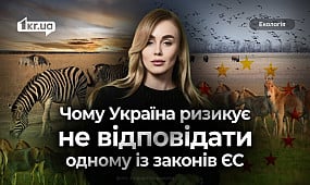 Природоохоронні території в Україні: чи можливо досягти європейських стандартів | 1kr.ua