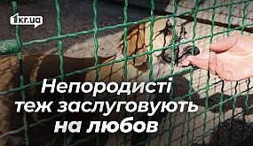 Підготовка до літа: рятувальники на воді перевіряють водойми в місцях літнього відпочинку