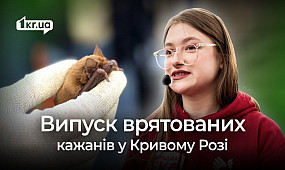 Криворізькі та харківські волонтери про порятунок червонокнижних кажанів | 1kr.ua
