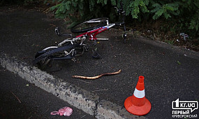 Происшествия: водитель Жигули сбил пенсионера на велосипеде | 1kr.ua