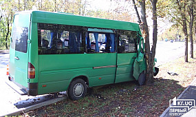 Происшествие Кривой Рог: 230 маршрутка с пассажирами врезалась в дерево, есть пострадавшие | 1kr.ua