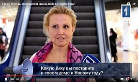 Какую ёлку вы поставите в своем доме к Новому году?