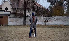 Dog competitions, Krivoy Rog