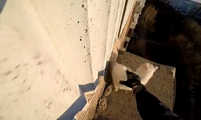 Экстремал спас кота, застрявшего на крыше многоэтажки