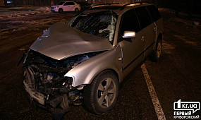 Происшествия Кривой Рог: Volkswagen вылетел с дороги и врезался в столб | 1kr.ua