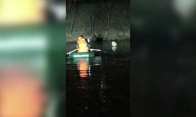 Криворізькі рятувальники надали допомогу лебедю